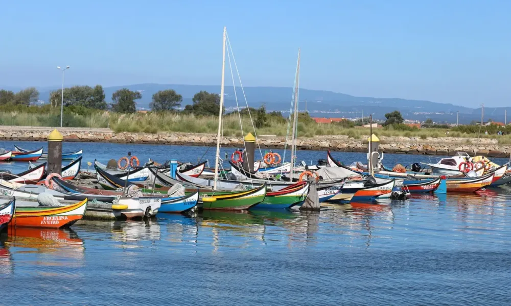 ¿Te has preguntado qué ver en Aveiro? Conocida como la "Venecia de Portugal", es una encantadora ciudad situada en la costa oeste del país.