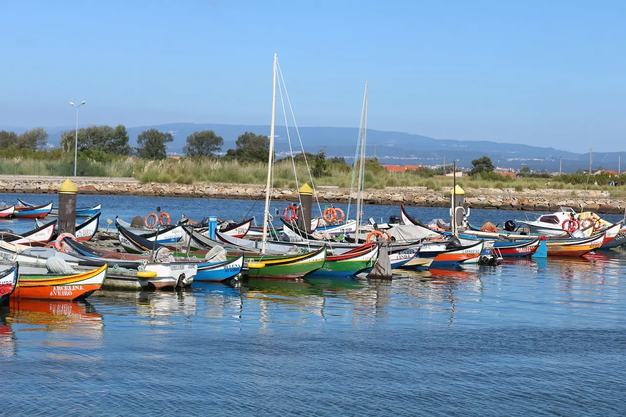 ¿Te has preguntado qué ver en Aveiro? Conocida como la "Venecia de Portugal", es una encantadora ciudad situada en la costa oeste del país.