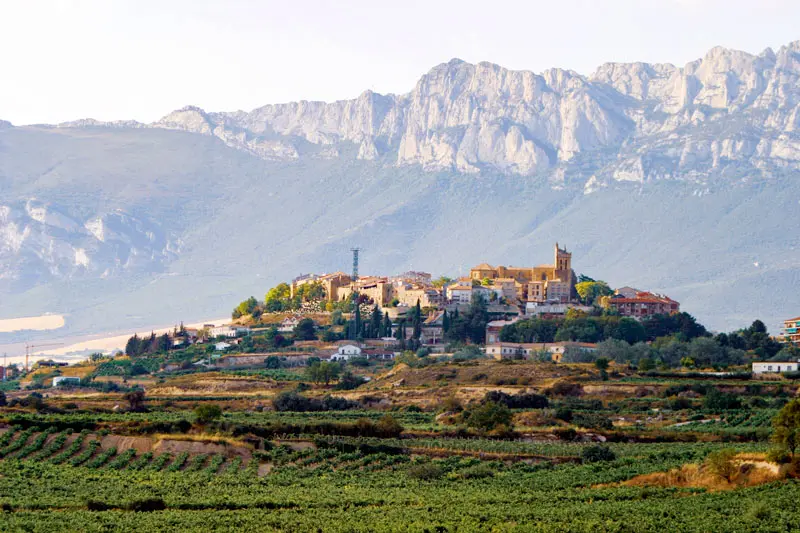 Ruta del Vino La Rioja: Un Viaje a Través de la Cultura Vitivinícola