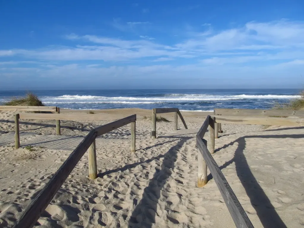 ¿Te has preguntado qué ver en Aveiro? 