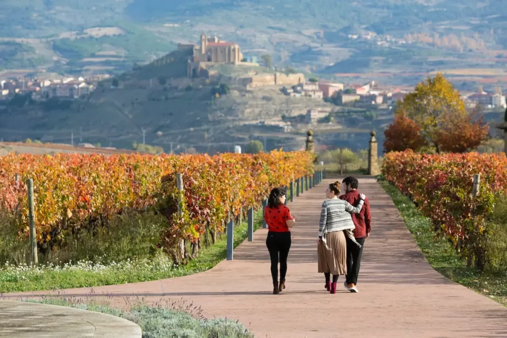 Ruta del Vino La Rioja: Un Viaje a Través de la Cultura Vitivinícola