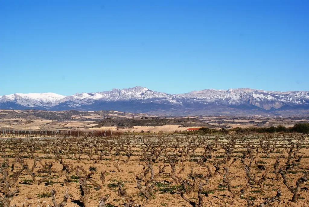 Qué hacer en Logroño