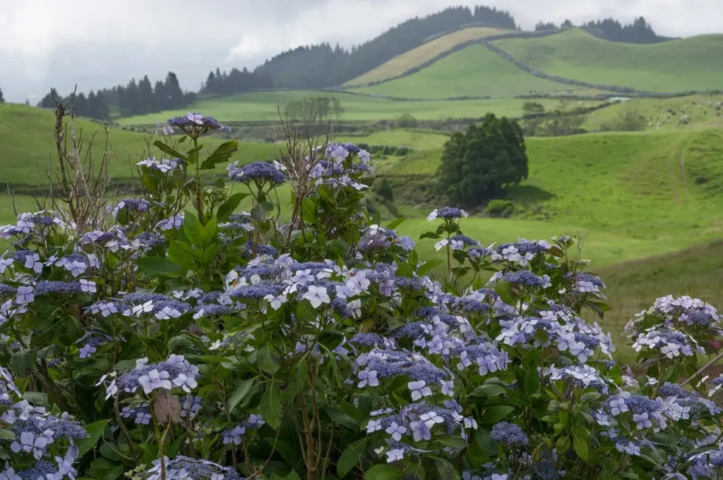 Qué ver en Azores
