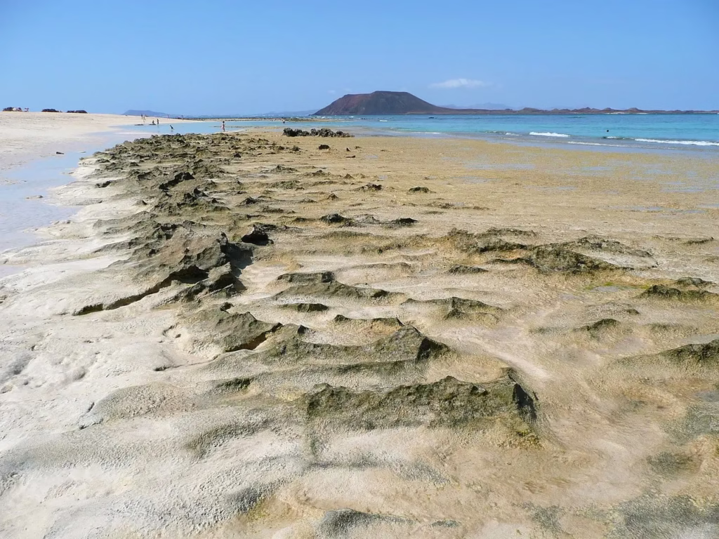 Qué Hacer en Fuerteventura